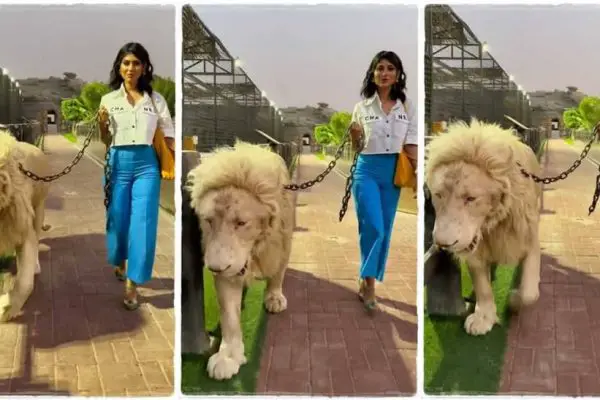 Watch: Fearless women walks with wild lions, TikTok users wowed with her courage